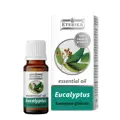 100% prírodný esenciálny olej Eukalyptus 10ml