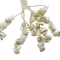 Necklace India 53
