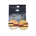 Earrings India 19